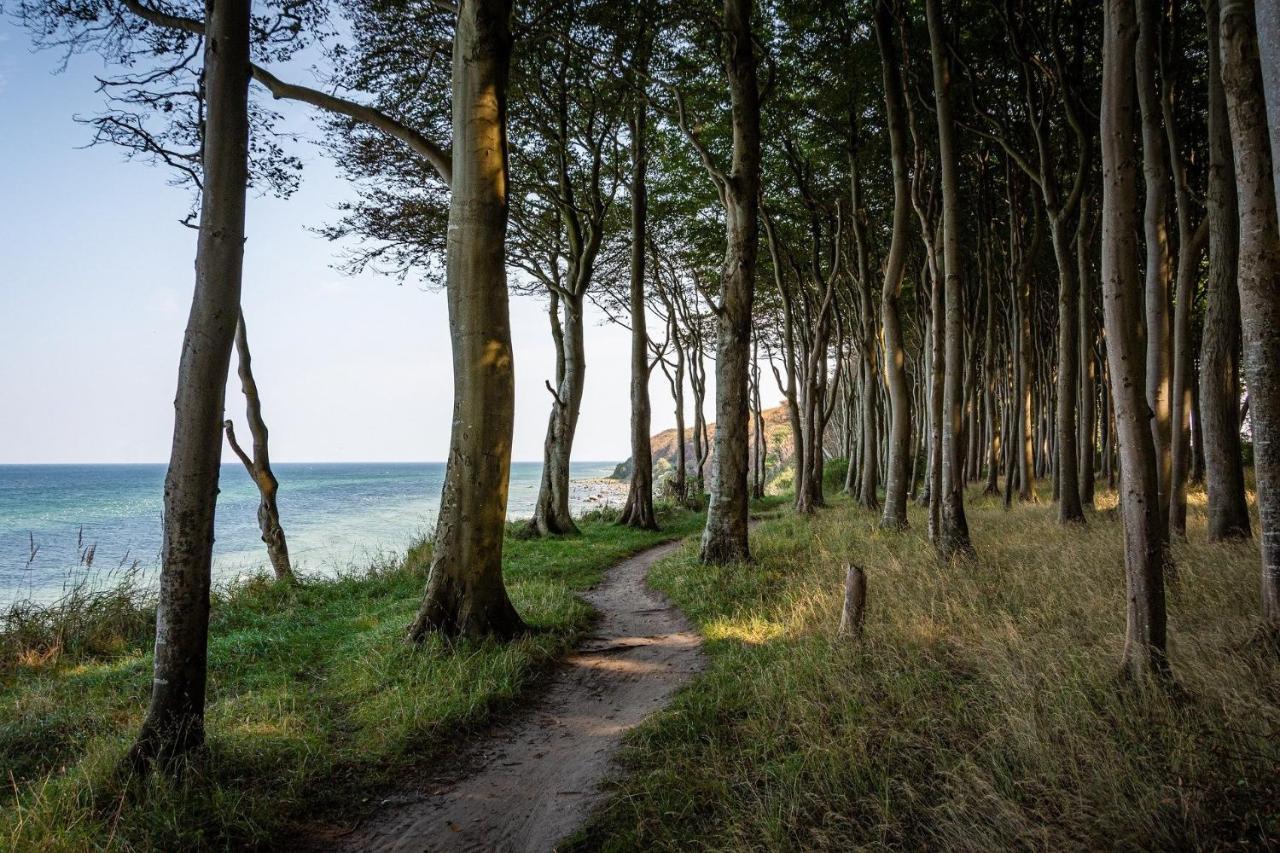 Ferienhaeuschen Kuestenwald Bei Warnemuende, Eigener Garten, Terrasse Mit Strandkorb, 400M Zum Strand Diedrichshagen  Ngoại thất bức ảnh